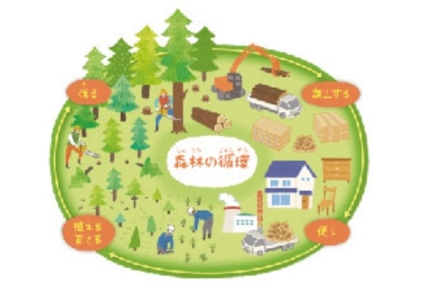 国産材 活用による森林循環促進。林業活性化。